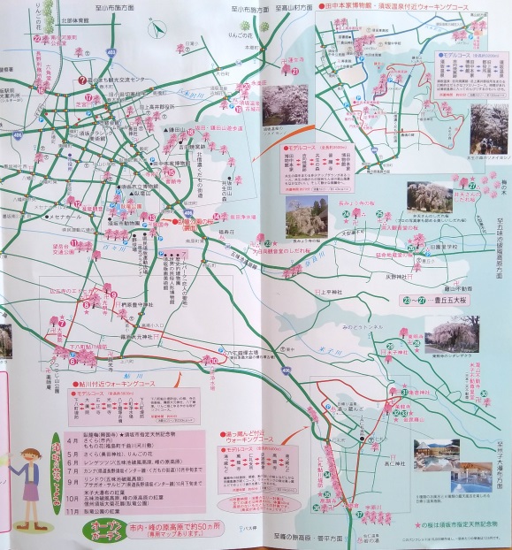 須坂桜マップ