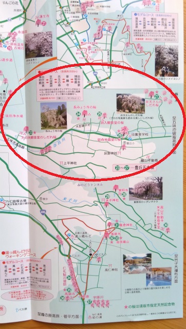 須坂市豊丘五大桜の位置