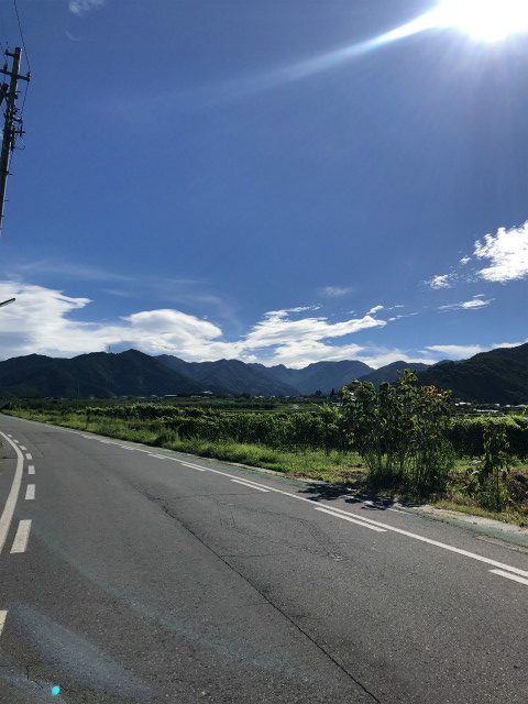 高山村の道