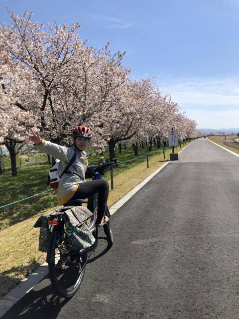 長野小布施桜イーバイクサイクリング